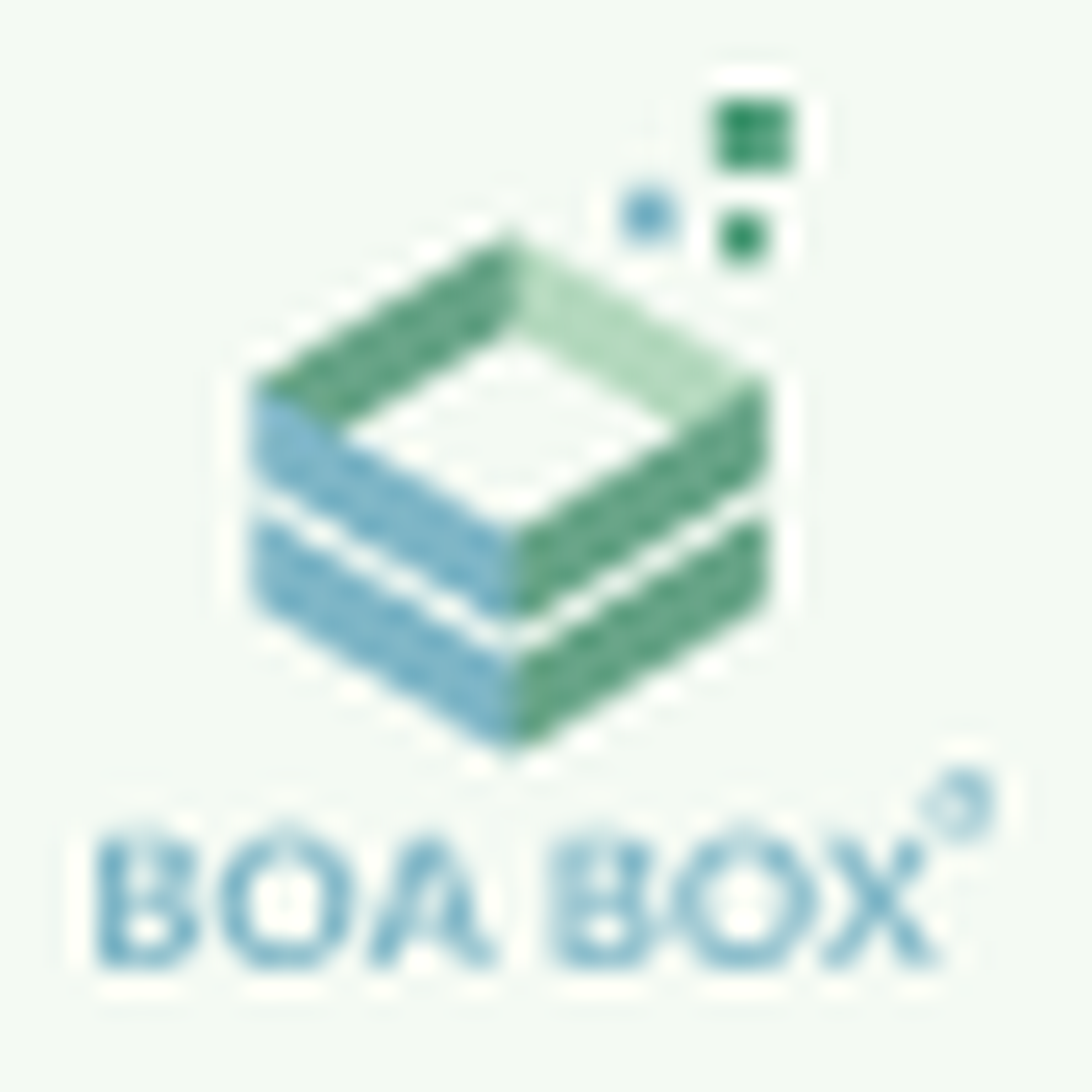 Boabox logo